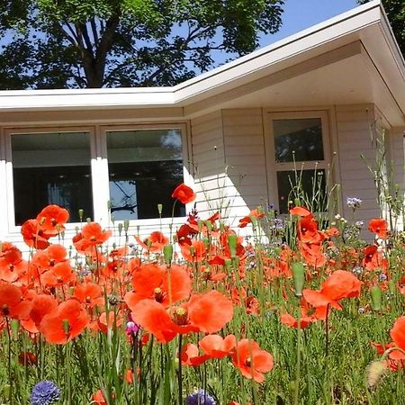 힐베르쉼 Het Findament Tiny House 빌라 외부 사진