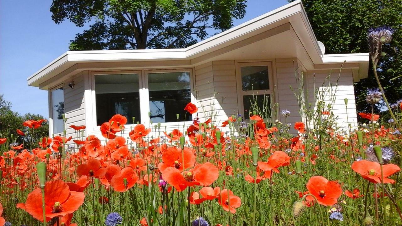 힐베르쉼 Het Findament Tiny House 빌라 외부 사진